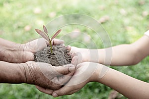 Adults holding a globe and child hand holding a small seedling, plant a tree, reduce global warming, World Environment Day,