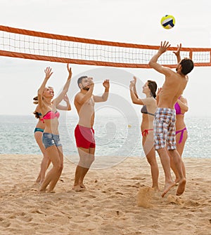 Adults throwing ball over net and laughing