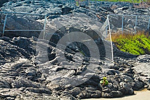 Advancing lava flow photo