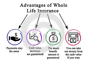 Whole Life Insurance photo