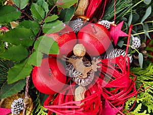 Advent or Christmas arrangement with decoration from nature apples nuts