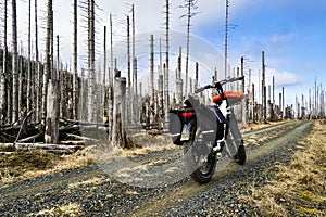 Adventure bicycle on rugged forest trail photo