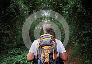 Adventure, hiking and senior man in a forest or woods and walking in nature for exercise, workout or fitness. Travel