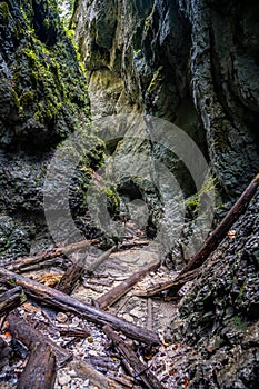 Dobrodružná turistická stezka kaňonem v národním parku Slovenský ráj, Slovensko. Via ferrata v kaňonu Kysel. Discovery travel c