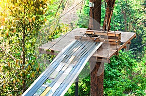 Adventure Park bridges, ropes and stairs designed for beginners in woods among tall trees