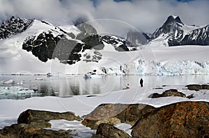 Adventure tourists in Antarctica photo