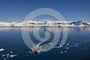 Adventure Tourists - Cuverville Bay - Antarctica