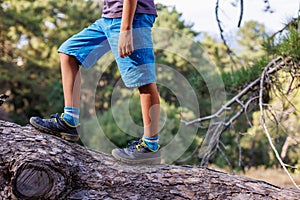 adventure travel. child in sneakers close-up. adventure travel concept. walks along the trunk of a fallen tree