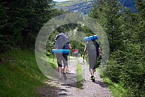 Adventure, travel, tourism, hike and people concept - group of friends walking with backpacks from back
