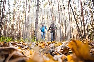 Adventure, travel, tourism, hike and people concept - smiling couple walking with backpacks over autumn natural