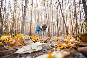 Adventure, travel, tourism, hike and people concept - smiling couple walking with backpacks over autumn natural