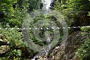Dobrodružná turistická via ferrata s lanovým mostem přes soutěsku s potokem a zelenými rostlinami