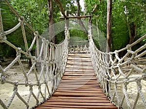 Adventure wooden rope jungle suspension bridge