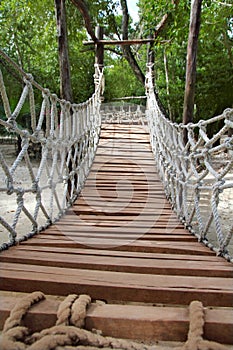 Adventure wooden rope jungle suspension bridge