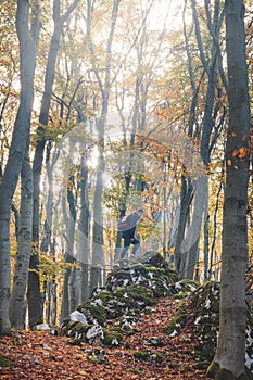 Adventurer ascends to the final point on a rock in the autumn forest in the Strazovske mountains, Slovakia. The man is satisfied