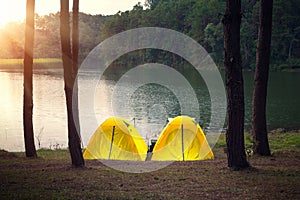 Adventures camping tourism and tent under the pine forest in sunset