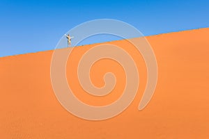 Adventurous man traveler hiking on sand dune in Namibia