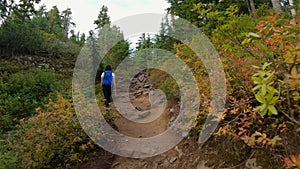 Adventurous Woman Hiker on a hiking trail at top of Canadian Mountain Landscape. St. Mark's Summit