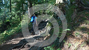 Adventurous Woman Hiker on a hiking trail at top of Canadian Mountain Landscape. St. Mark's Summit