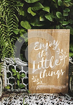 Advertise typography wooden board with plant