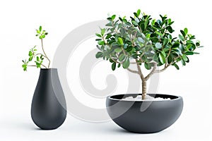 Advertisement with green plants in spring Arte com IA