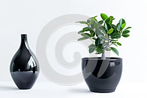 Advertisement with green plants in spring Arte com IA