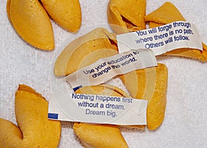 Advice fortune cookies for graduates - Dream, Use your Educaiton, Forge through