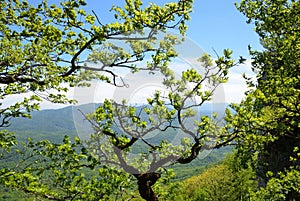 Adygea, mountain landscape in spring. In the background of the main Caucasian ridge