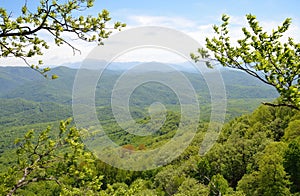 Adygea, mountain landscape in spring. In the background of the main Caucasian ridge