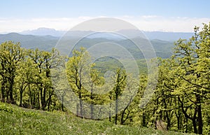 Adygea, mountain landscape in spring. In the background of the main Caucasian ridge