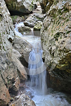 Beautiful landscape of the mountain river `White`.