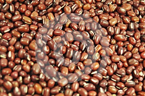 Adzuki beans photo