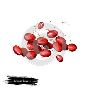 Adzuki beans, azuki or aduki, red mung bean digital art illustration isolated on white. Organic healthy food. Green