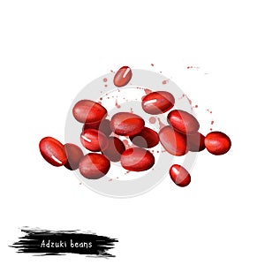 Adzuki beans, azuki or aduki, red mung bean digital art illustration isolated on white. Organic healthy food. Green vegetable.