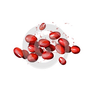 Adzuki beans, azuki or aduki, red mung bean digital art illustration isolated on white. Organic healthy food. Green