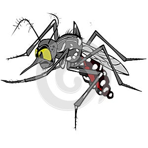 Aedes Aegypti Illustration photo