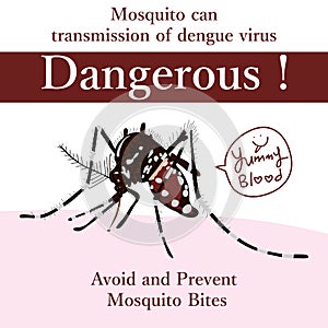Aedes Albopictus dangerous card photo