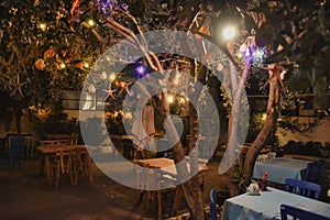 Aegean Mediterranean restaurant in a lovely garden with cute lamps hanging on trees