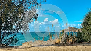 Aegean sandy shore, ?aria hiking trail, Turkey