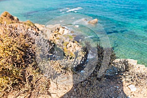 Aegean Sea, Skiathos, Greece. landscape.