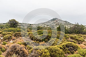 Aegina Landscape, Greece