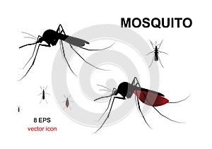 Aegypti Mosquito Vector Icon, Gnat Bloodsucking Insect Sign photo