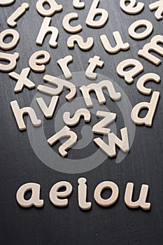 AEIOU Wooden Letters