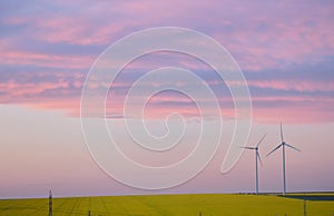 Aeolian field and wind turbines