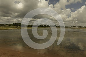 Aeolic turbines on the Guamare beach photo