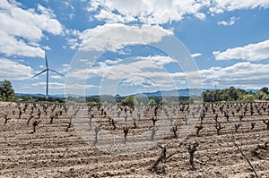 Aeolic Windmills at Catalonia, Spain photo