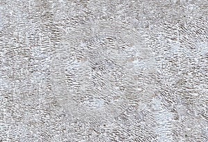 Aerated concrete
