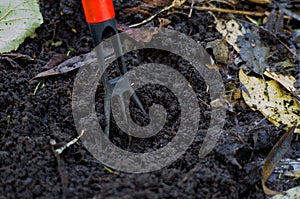 Aeration of healthy topsoil photo