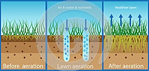 Aeration of the lawn. Enrichment with oxygen water and nutrients to improve lawn growth. Before and after aeration: gardening, photo