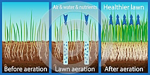 Aeration of the lawn. Enrichment with oxygen water and nutrients to improve lawn growth. Before and after aeration: gardening, photo